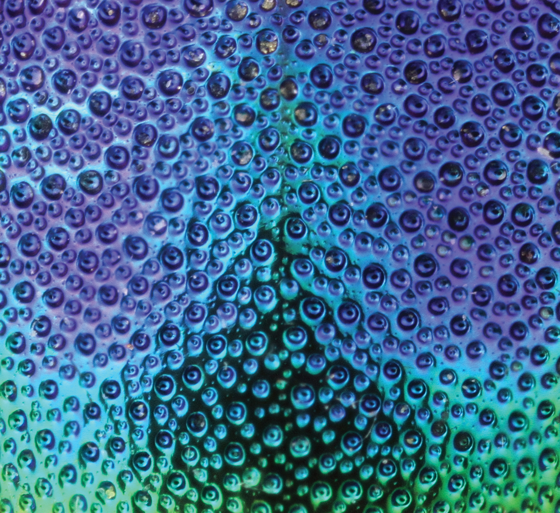 Encourage Congress to Invest in the Bipartisan Bill Supporting NSF!