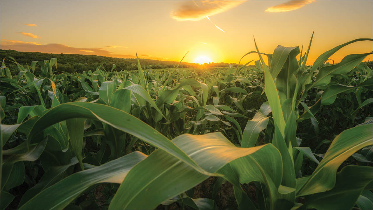 growmark-voting-center